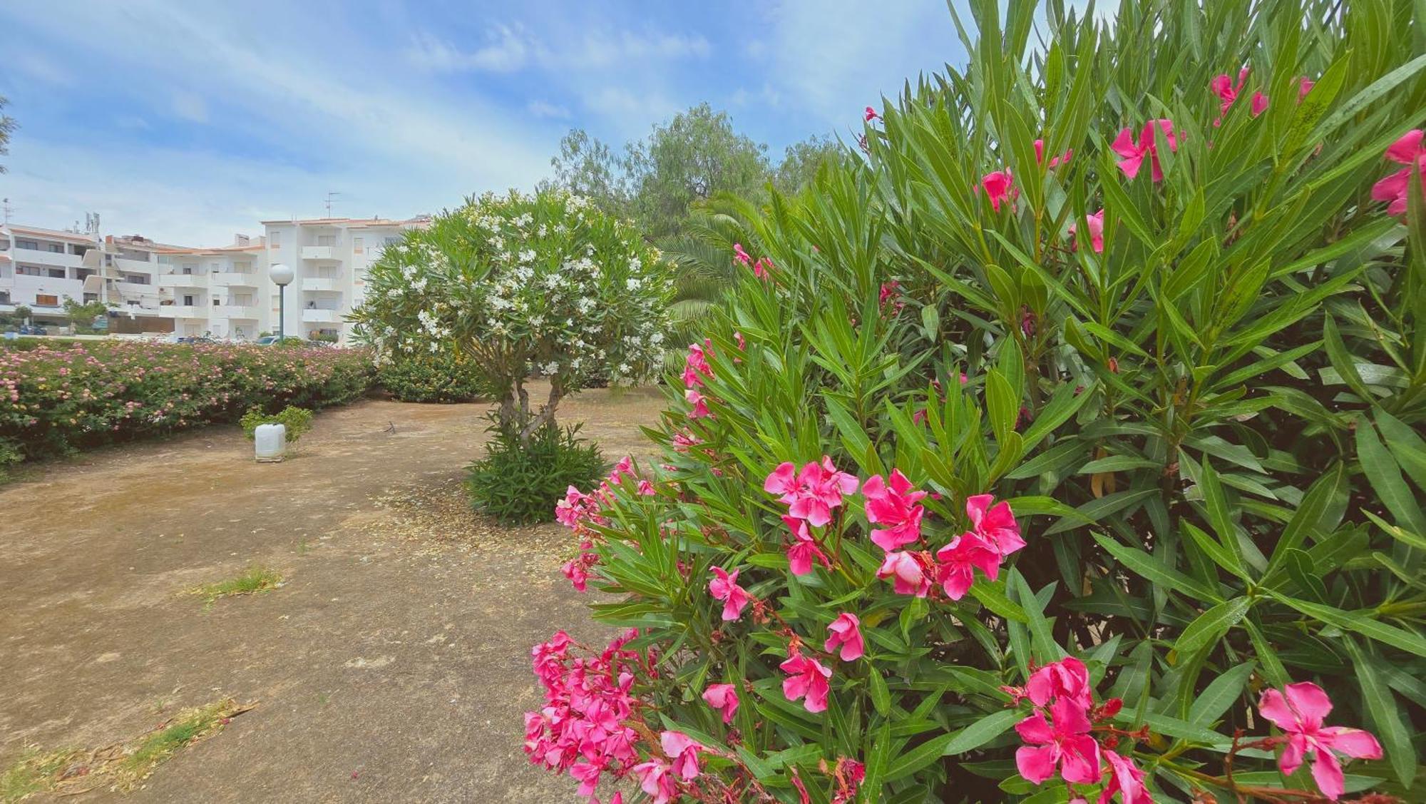 Praia Eulalia With Pool And 5 Minutes From The Beach 阿尔布费拉 外观 照片