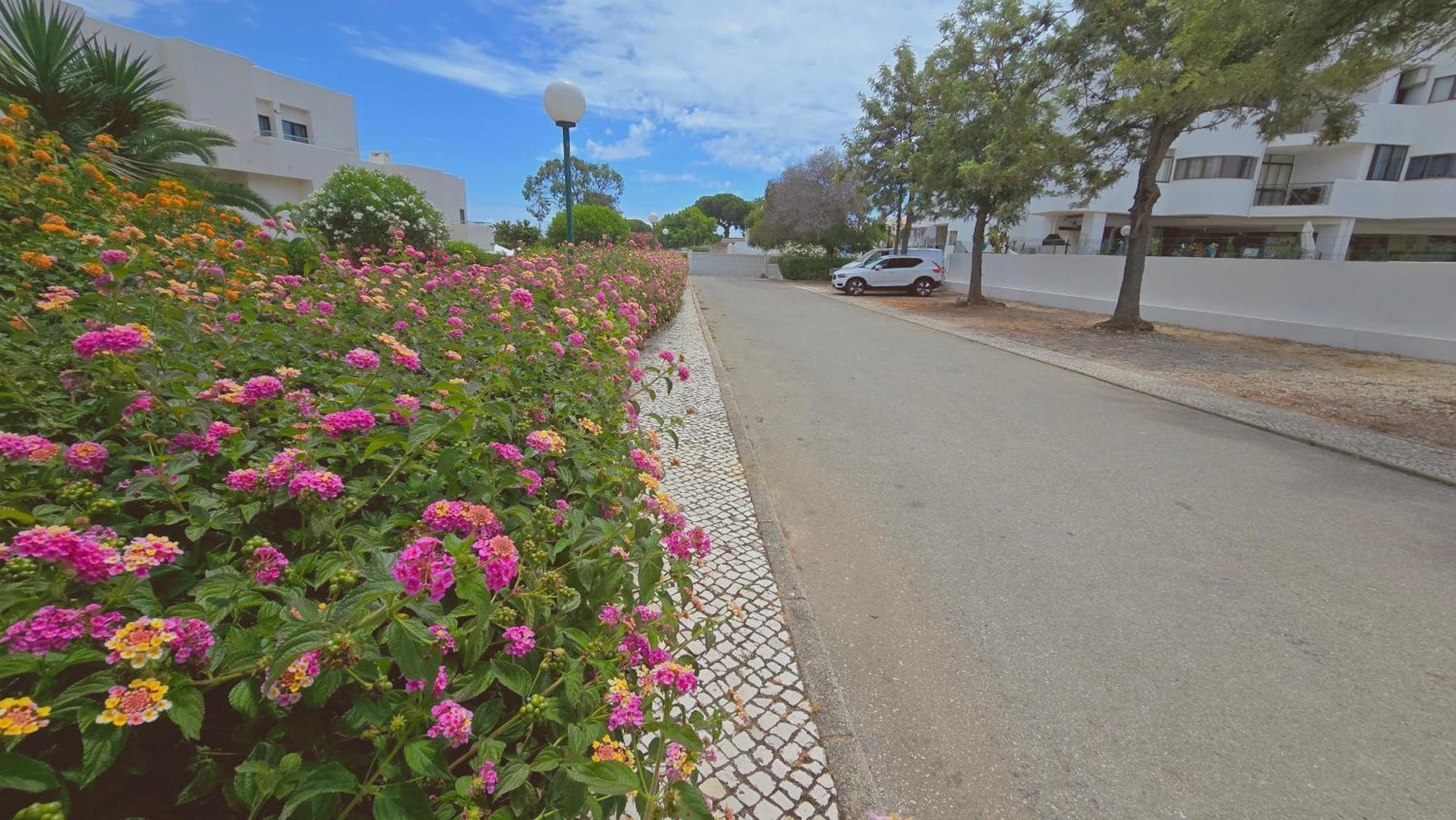 Praia Eulalia With Pool And 5 Minutes From The Beach 阿尔布费拉 外观 照片