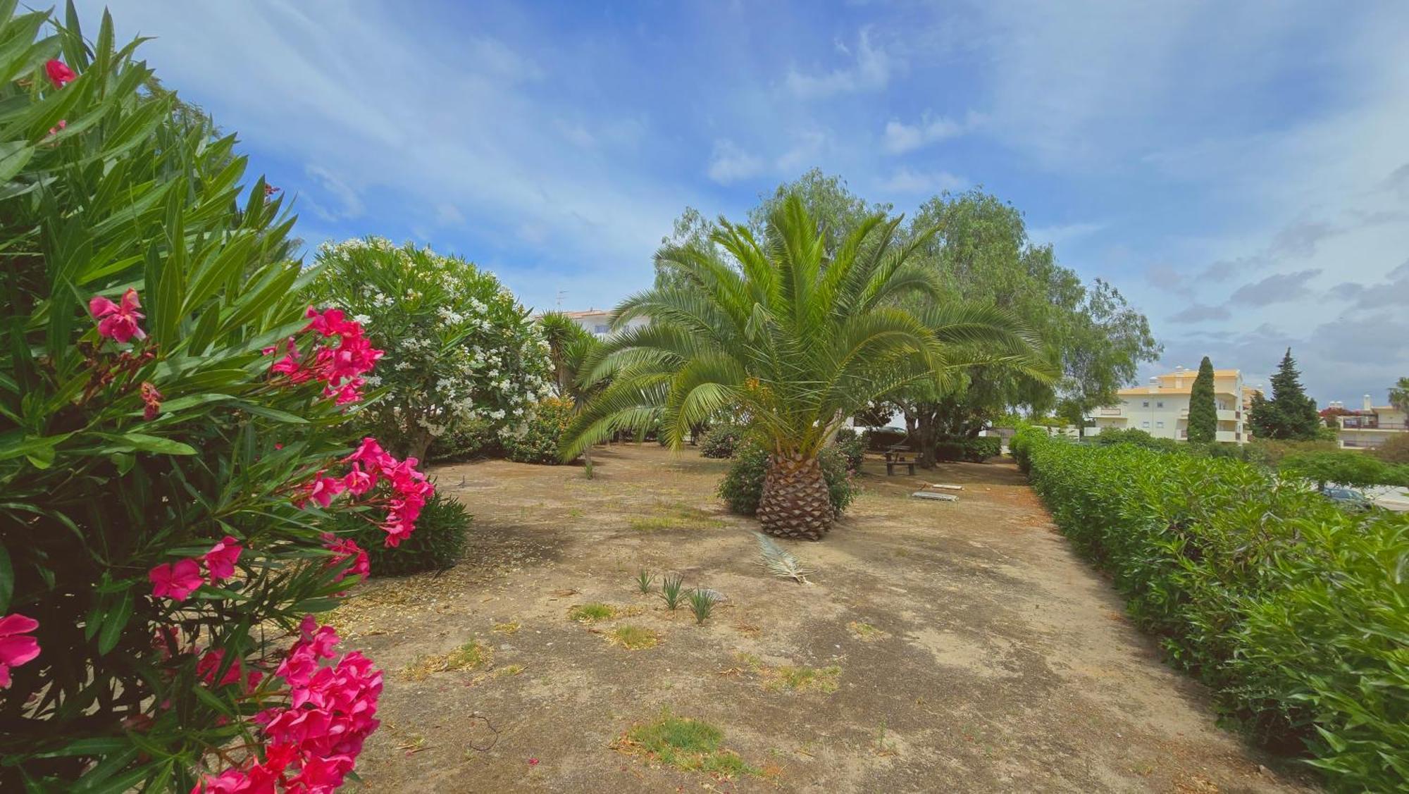 Praia Eulalia With Pool And 5 Minutes From The Beach 阿尔布费拉 外观 照片