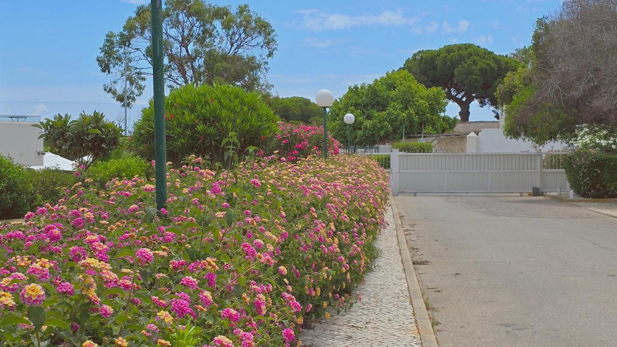 Praia Eulalia With Pool And 5 Minutes From The Beach 阿尔布费拉 外观 照片